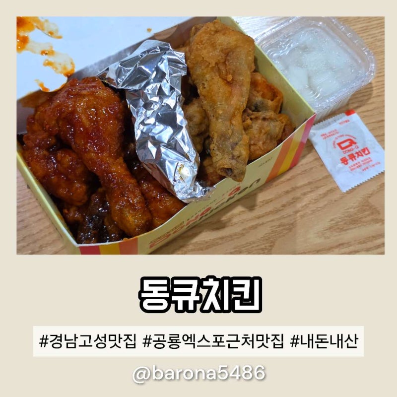 경남 고성 공룡엑스포 근처 맛집 동큐치킨