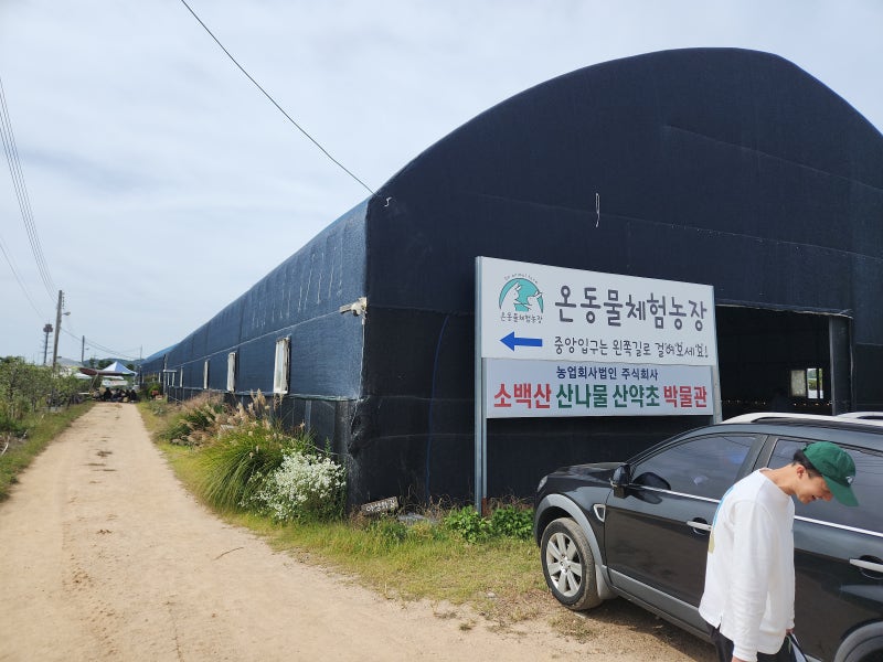 시흥 아이와 가볼 만한 곳 온동물체험농장｜동물 먹이체험부터 땅콩캐기까지