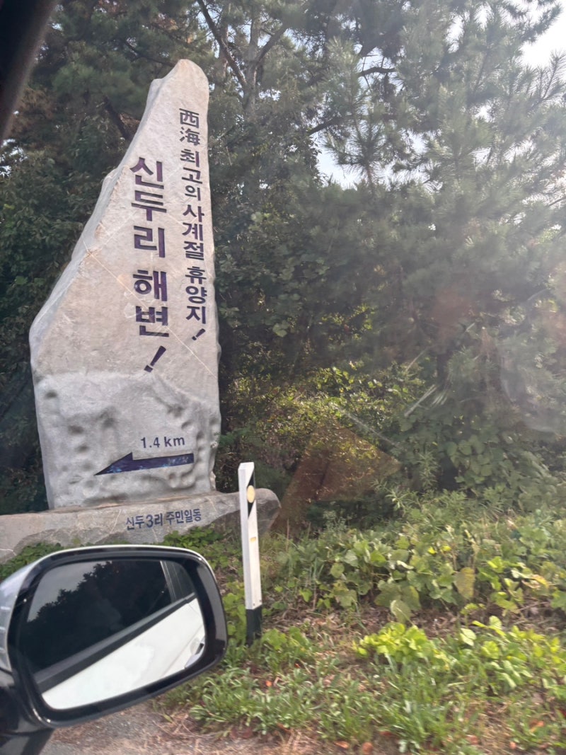 ️ 태안 아이와 가볼만한곳신두리 해안사구 사구센터 다녀온 후기