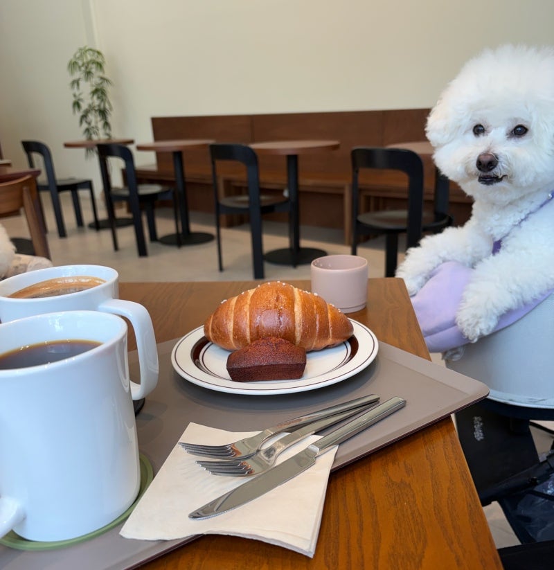 인천 송도 소금빵·베이글 베이커리 맛집, EWE COFFEE(유커피) 실내 애견동반 다녀왔어요!