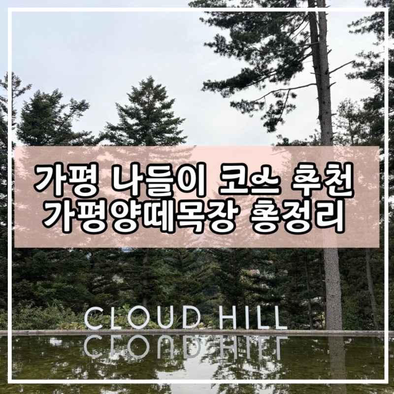 가평 양떼목장 할인 이용권부터 먹이체험까지｜아이와 가기 좋은 가평 핫플