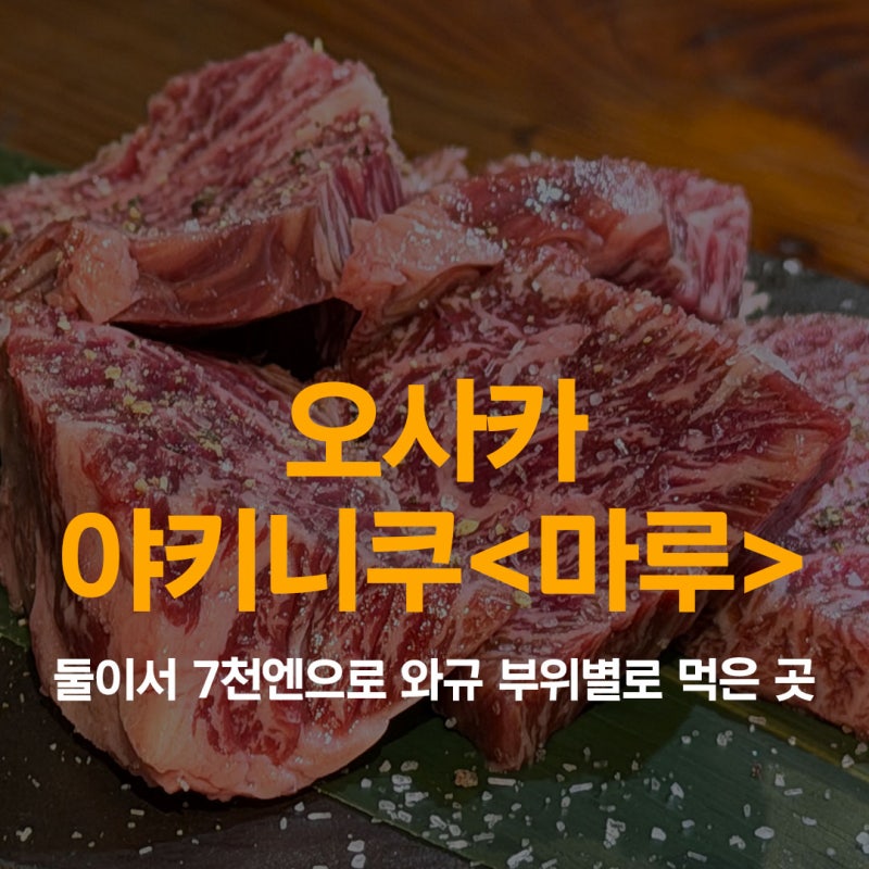 오사카 야키니쿠 맛집 마루 후기, 둘이서 7천엔으로 부위별로 먹은 곳