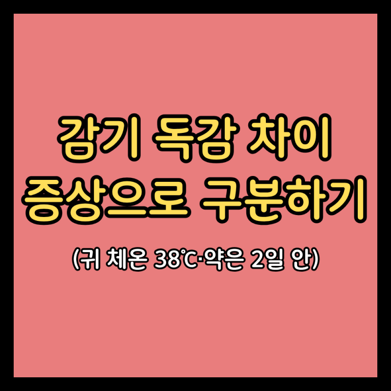 감기 독감 차이, 열이 갑자기 오르면 독감일까 (독감 증상·독감검사·타미플루·발열 기준)
