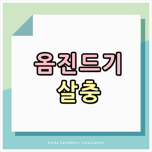 옴 진드기 살충 연고 치료만 하고 소독 안 해도 괜찮을까?