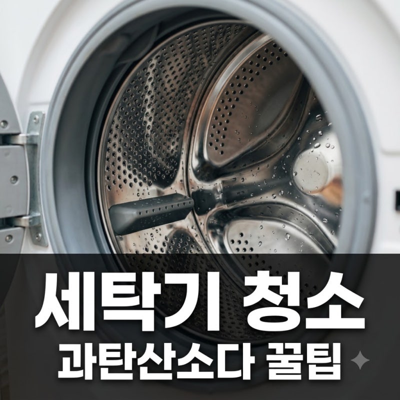 빨래 쉰내 원인이 여기였다니.. 드럼 세탁기 청소 꿀팁 세탁조 청소