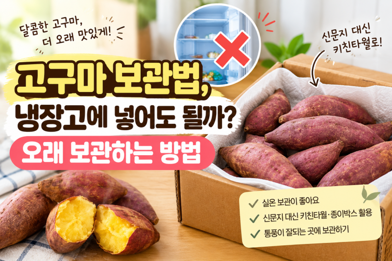 고구마 사 왔다면 바로 냉장고에 넣지 마세요｜고구마 오래 보관하는 방법