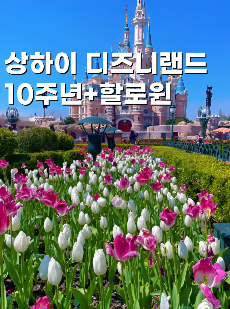 상하이 디즈니랜드 입장권 주토피아 퍼레이드 앱필수 꿀팁 10