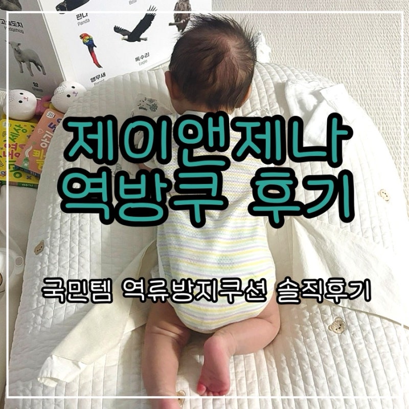 제이앤제나 역방쿠 신생아 역류방지쿠션 후기