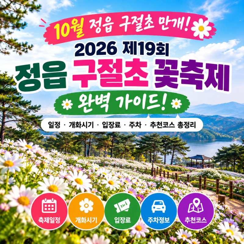 2026 제19회 정읍 구절초 꽃축제 완벽 가이드! 일정·개화시기·입장료·주차·추천코스 총정리