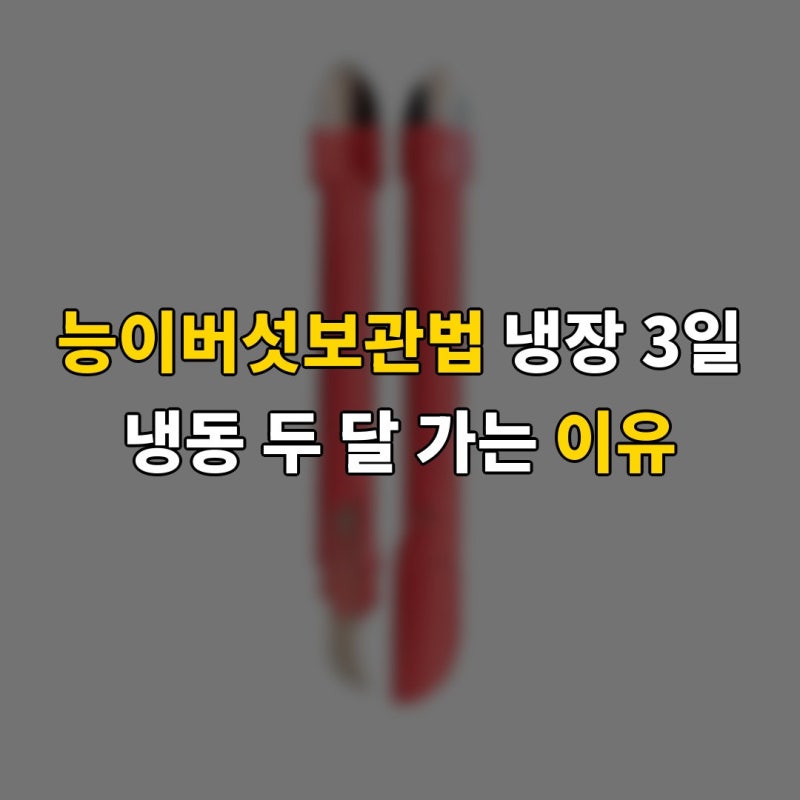 능이버섯보관법 냉장 3일 냉동 두 달 가는 이유