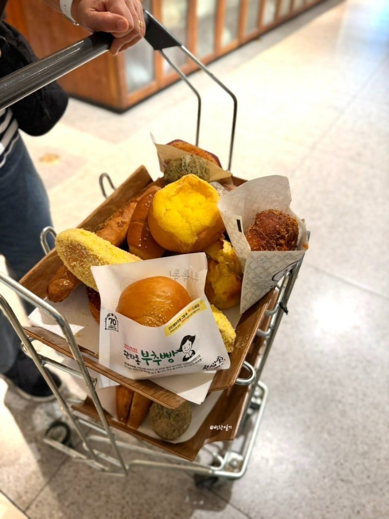 대전여행 가볼만한곳 전국3대빵집 빵지순례 성심당 롯데백화점