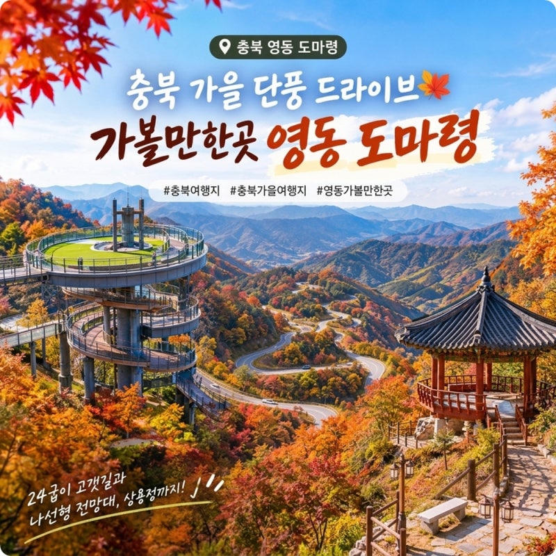 충북 가을 여행지 단풍 드라이브 가볼만한곳 영동 도마령 전망대