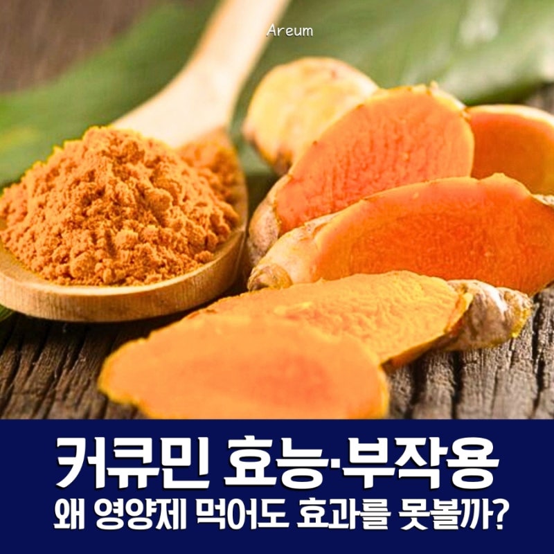 만성 염증 영양제 커큐민 효능 부작용, 먹어도 효과 없는 이유