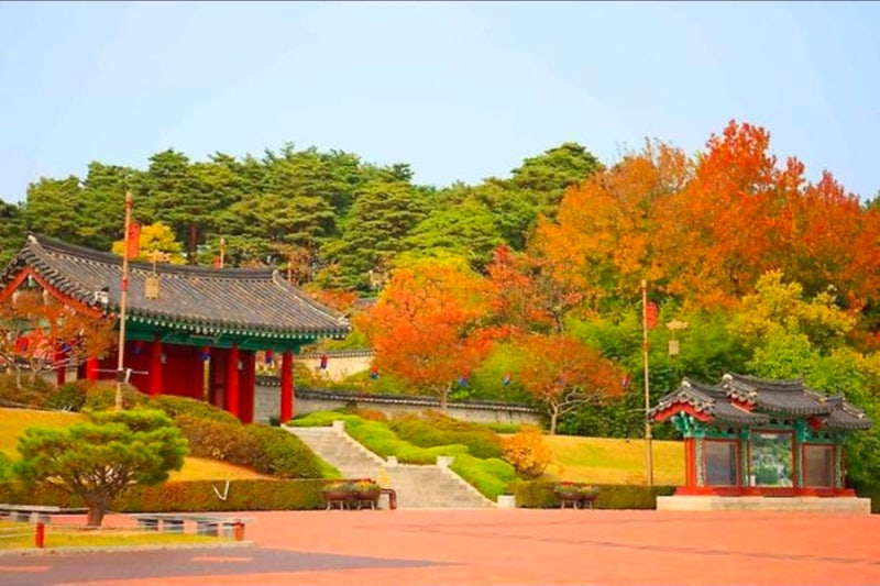 2026 강릉 빵굽는 마을, 오죽 총정리｜한옥마을 빵축제·체험·공연·먹거리까지!