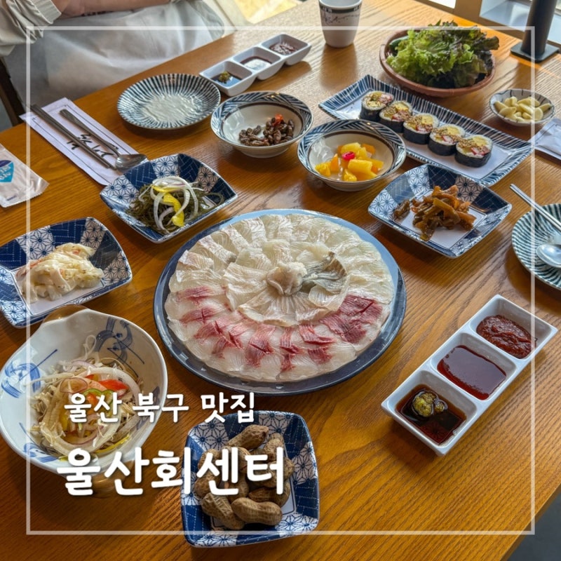 울산 북구 맛집 울산회센터 코스트코 인근 점심식사 가능한 가성비 횟집
