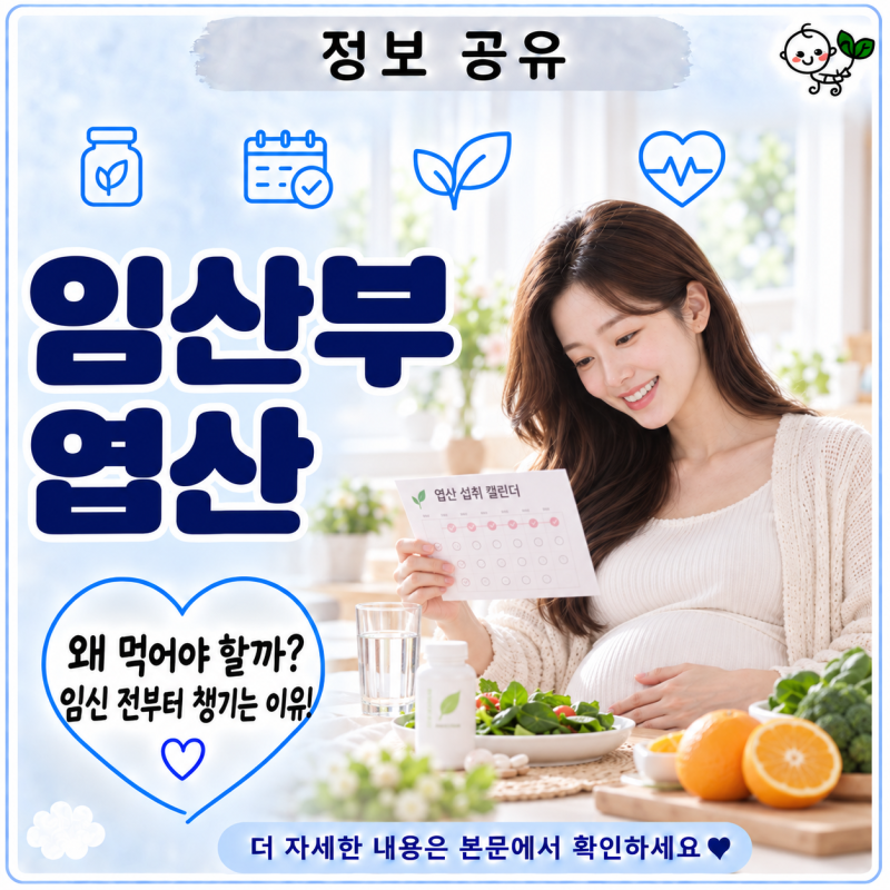임산부 엽산 | 왜 먹어야 할까? 임신 전부터 챙기는 이유와 섭취 팁