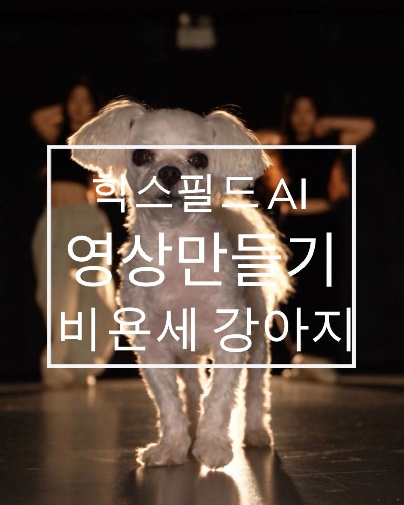 비욘세 강아지 힉스필드 만드는 법 팁 실제 후기 간단