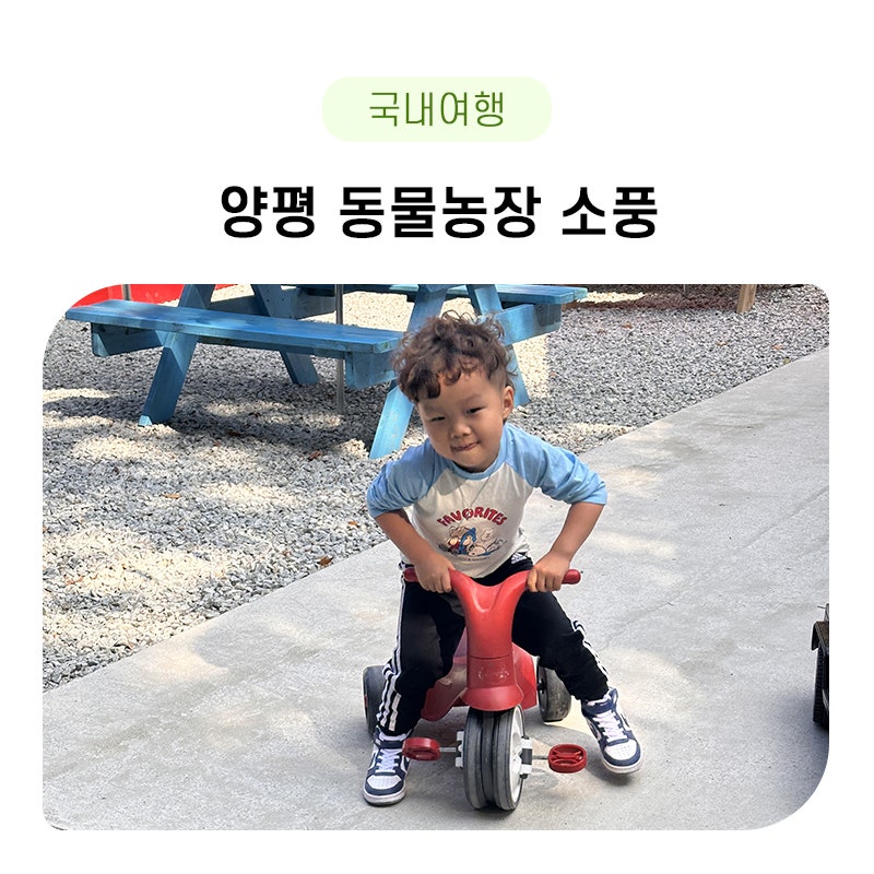 아이랑 경기도갈만한곳 양평 여행 서울근교동물농장 소풍 방문 후기