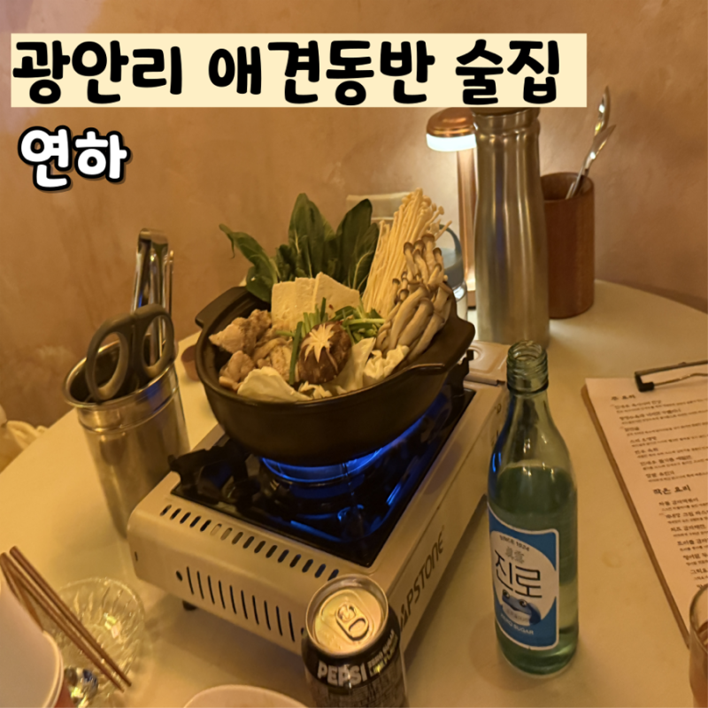 광안리 술집 안주 맛있고 애견동반 분위기 좋은 연하