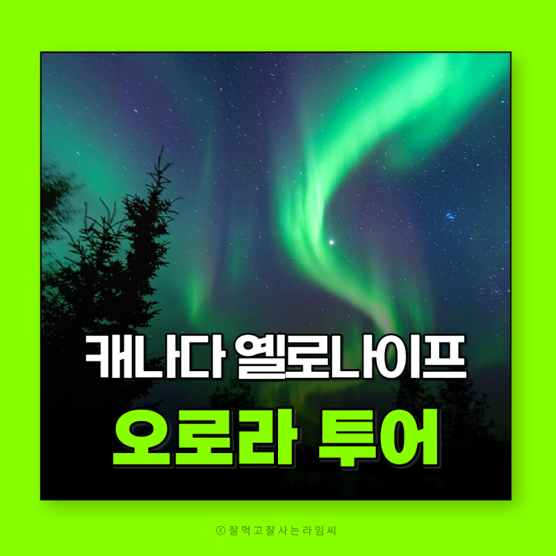 캐나다 옐로나이프 5박 6일 오로라 헌팅 일정 및 예상 비용