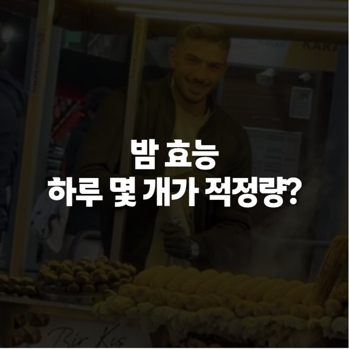 밤 효능 제대로 알기, 삶은밤·찐밤 효능과 당뇨 부작용까지 총정리