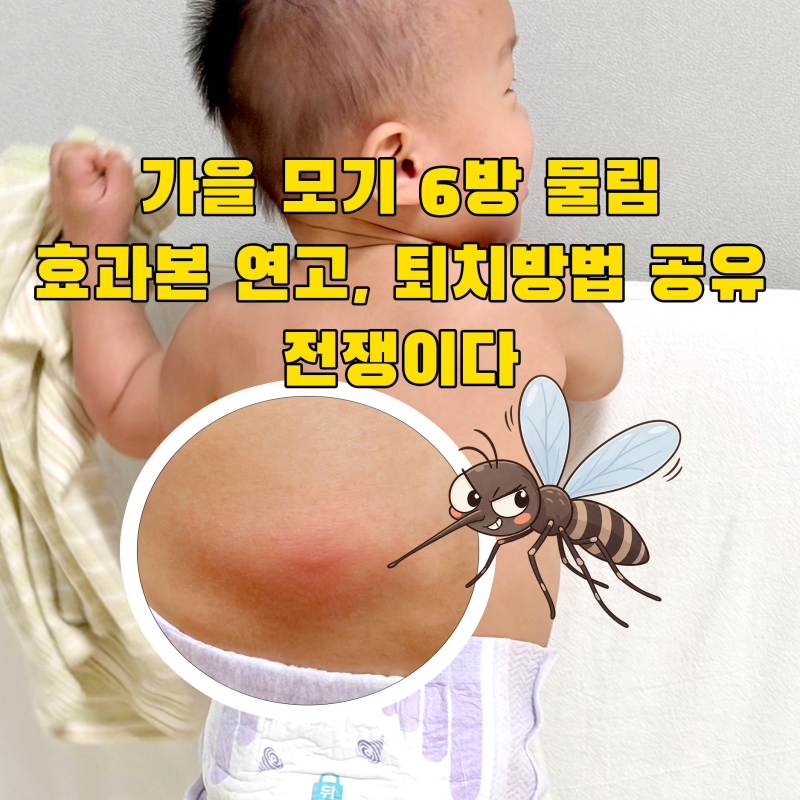 "빨갛고 딱딱해요" 아기 가을모기 물렸을때 효과본 연고와 기피제 공유
