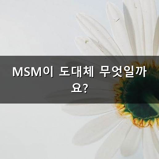 MSM 효능 관절에 왜 좋다고 할까요?