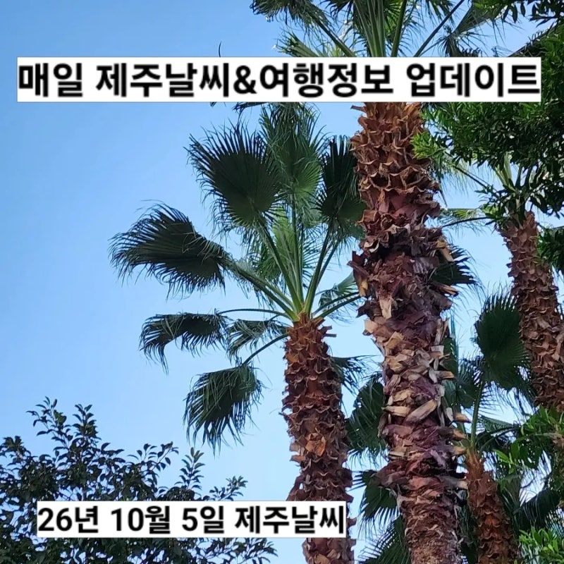 10월 5일 제주도 날씨 서귀포 실시간 옷차림 비 온 뒤 쌀쌀한 가을 날씨 한라산 예보