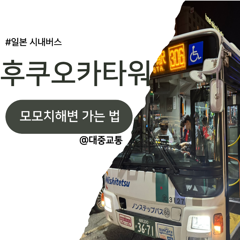 하카타역에서 후쿠오카타워 모모치해변 가는 방법 일본 시내버스 우버택시 후기