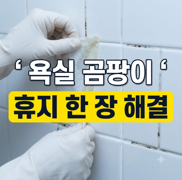 욕실 타일 줄눈에 핀 검은 곰팡이 락스 묻힌 휴지로 힘 안 들이고 지운 법
