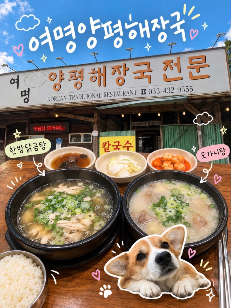 [강원 홍천] 비발디파크 오션월드 근처 맛집 ‘여명양평해장국’, 도가니탕과 한방닭곰탕