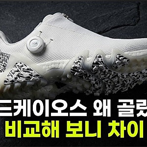 남자 골프화 추천 고민될 때 아디다스 남성 골프화 코드케이오스 스파이크리스 보아 비교해....