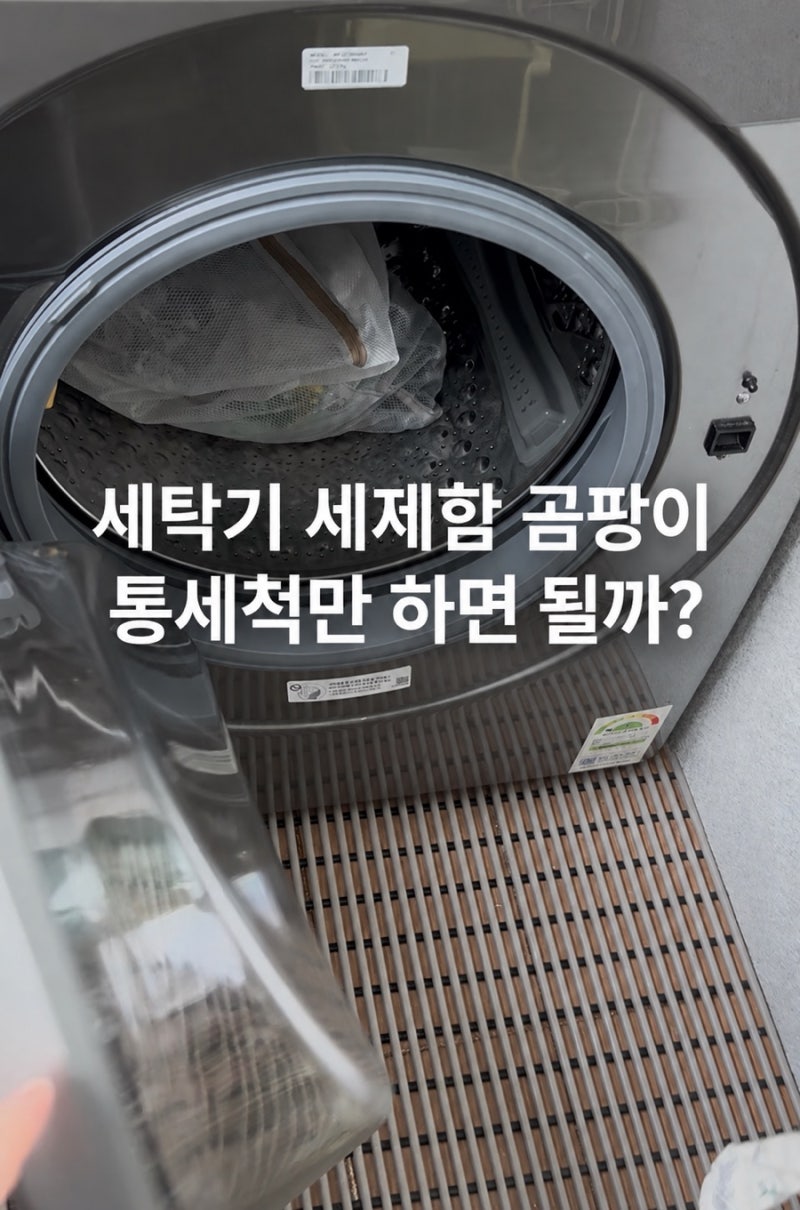 세탁기 세제함 곰팡이, 통세척만 하면 될까?｜세제함 청소 방법과 주의사항