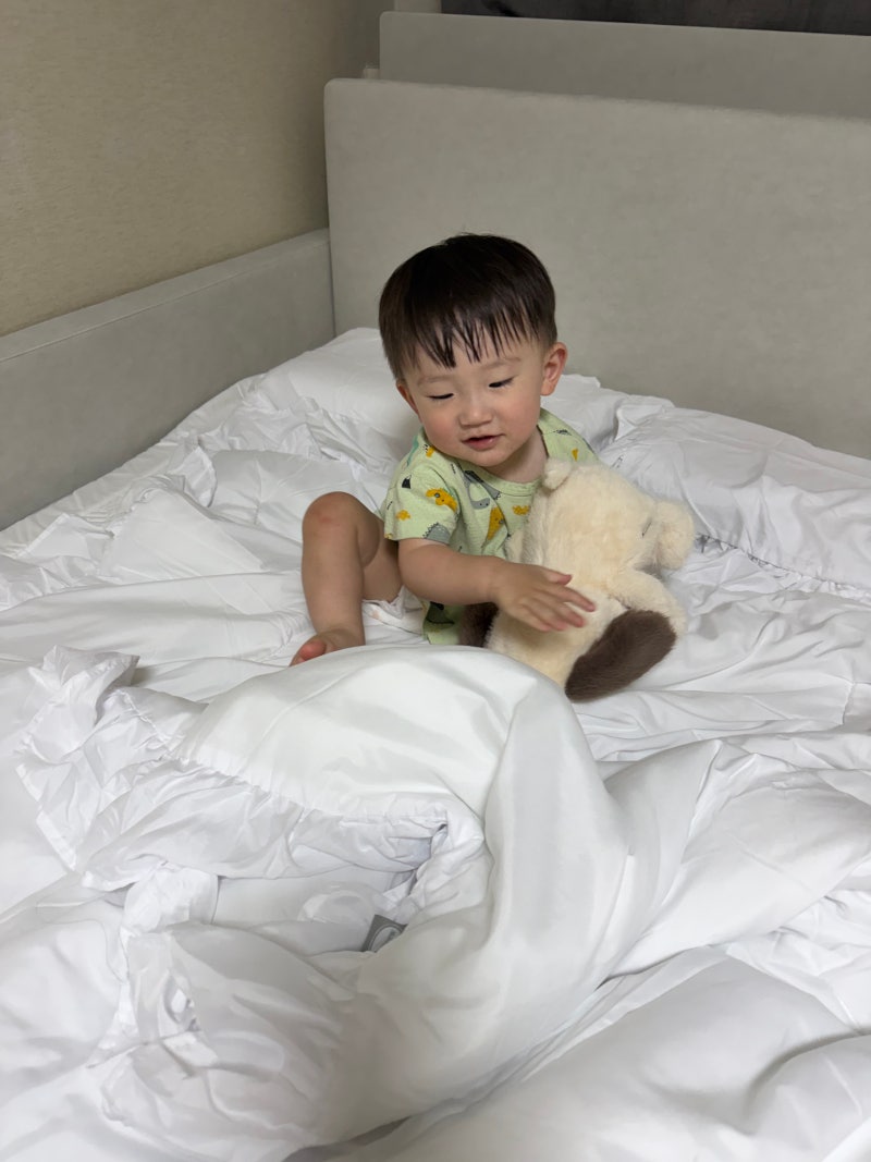 아기와 함께 쓰는 포근한 데시뉴 뉴노멀 프릴 사계절 차렵이불 화이트 추천 이유