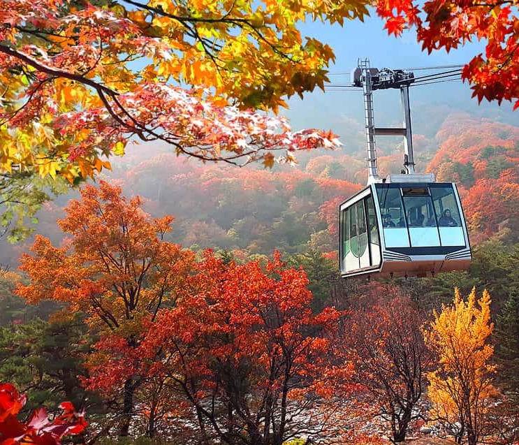 설악산단풍 단체 관광의 노하우 꿀팁(+예약,케이불카예약,숙시설예약)