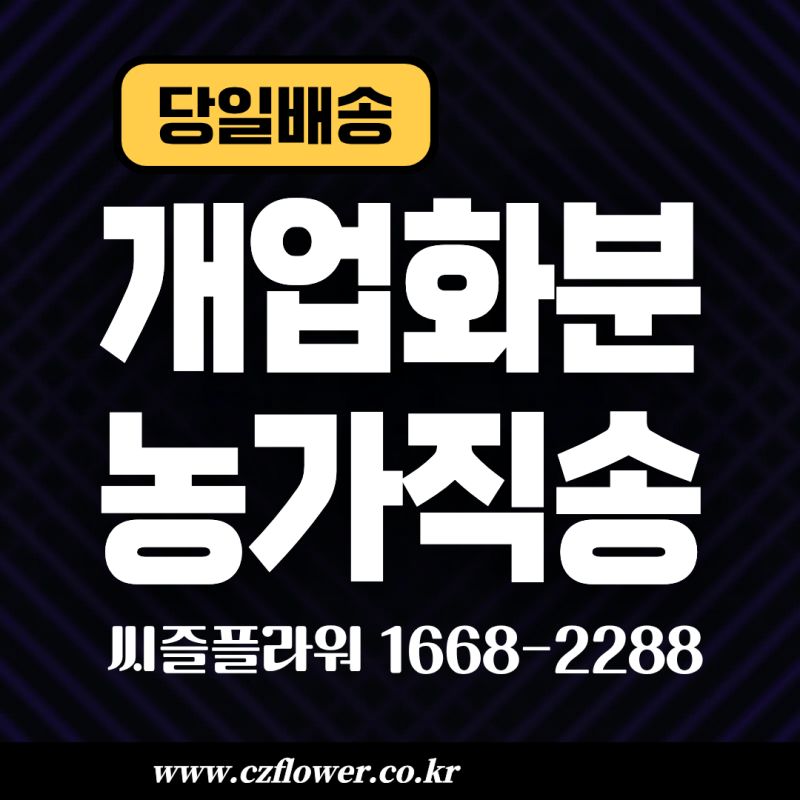 수원 개업 축하 화분 배달 전문점