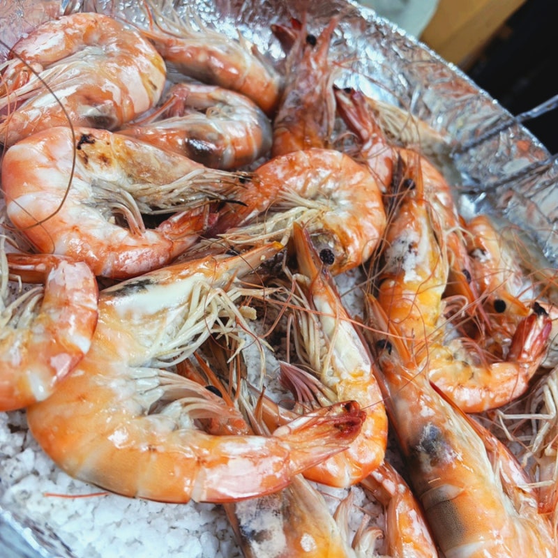 홍성 남당항 대하축제 자연산 대하 1kg 가격은? 생새우 구입·주차 정보