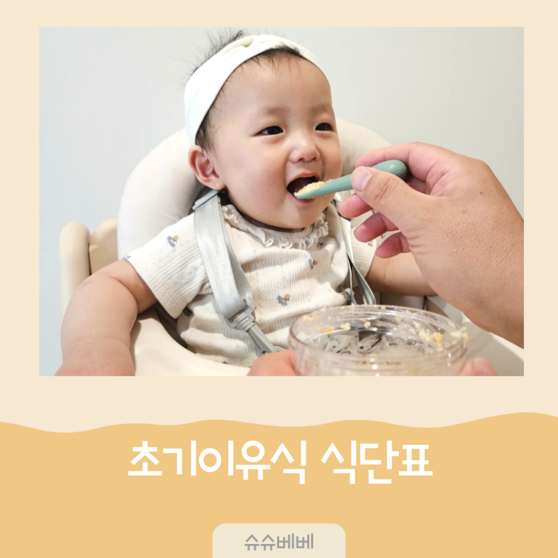 6개월 아기 초기이유식 시작, 1단계 식단표 만들기