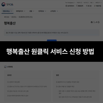 놓치면 부모 손해! 출산·육아 정부지원금 5가지 총정리(첫만남이용권사용처·지급일·잔액조....