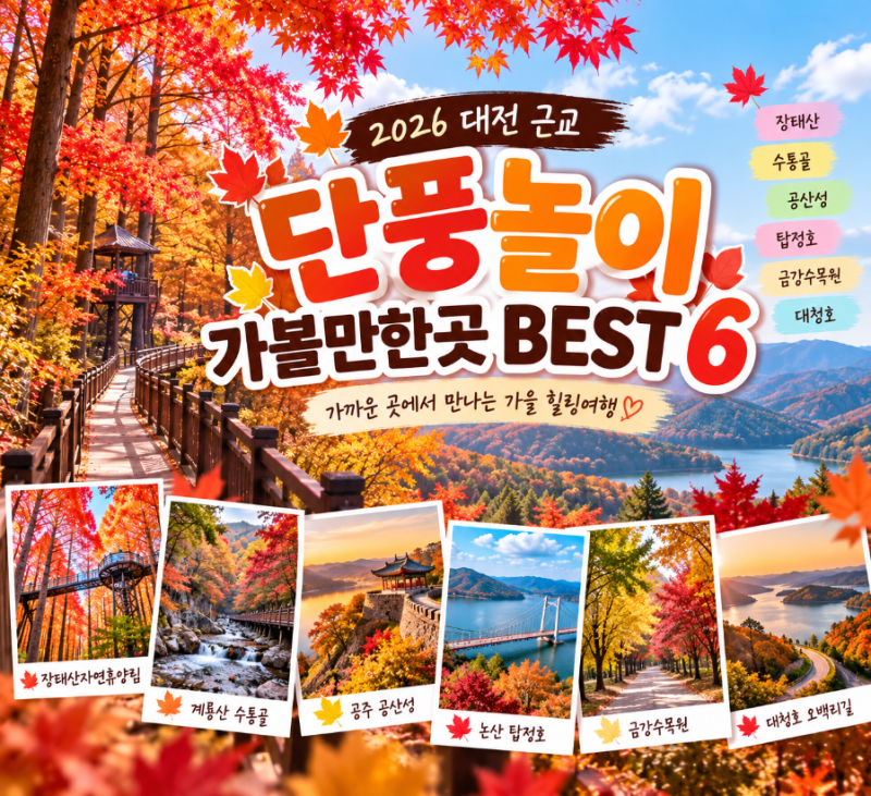 2026 가을 단풍시즌 | 대전 근교 단풍놀이 가볼만한곳 BEST6