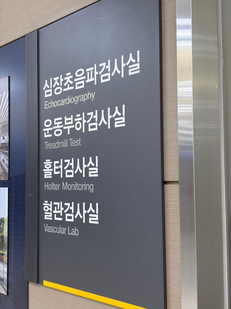 부정맥 홀터검사 8일 완주 후기ㅡ샤워·수면·출근 다 해봤습니다
