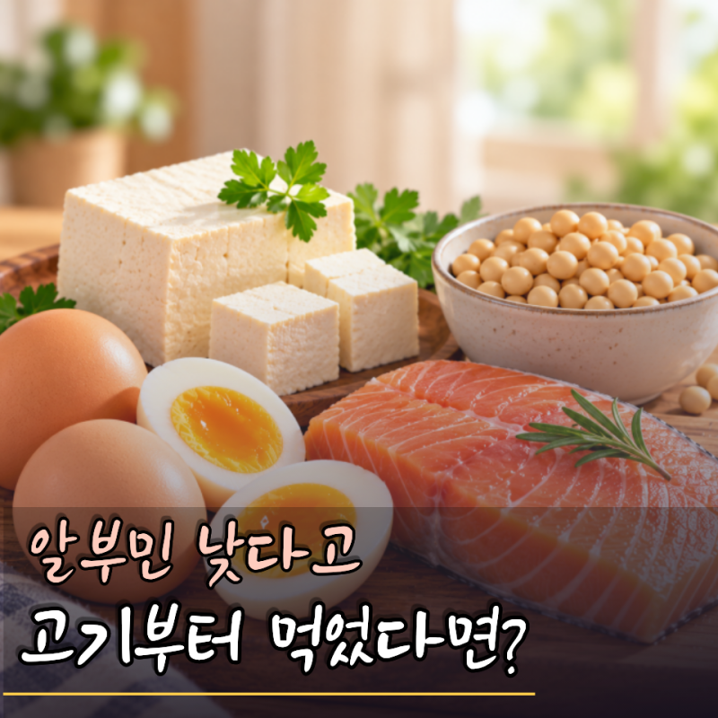 “알부민 낮다고 단백질부터 챙겼는데…” 알부민 수치, 음식만 잘 먹으면 올라갈까?