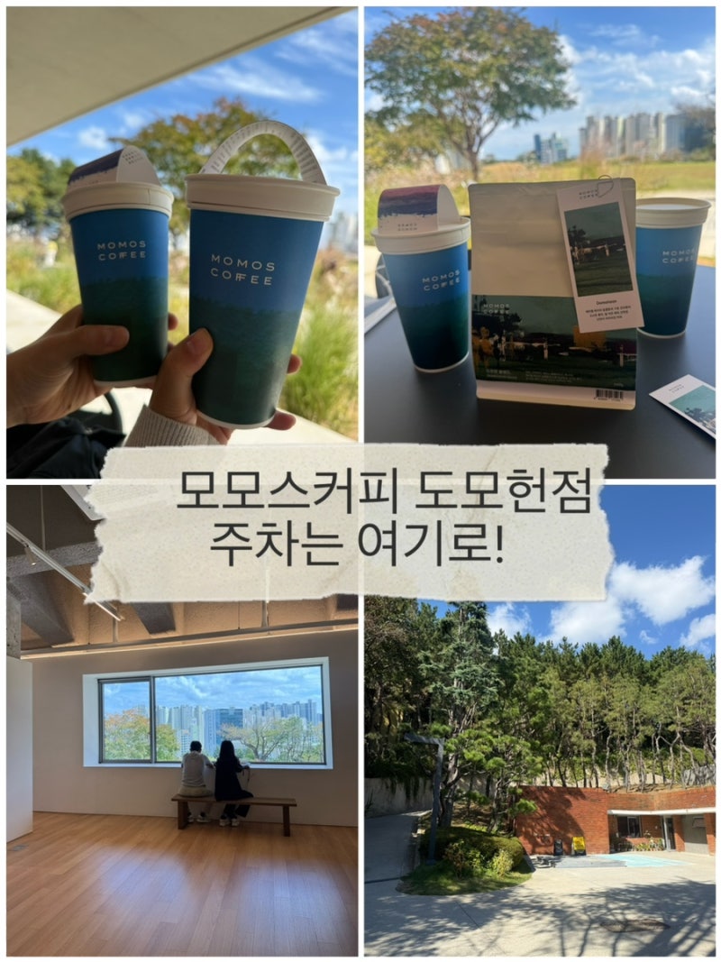 모모스커피 도모헌점 애견동반｜부산 남천동 카페 주차 꿀팁까지