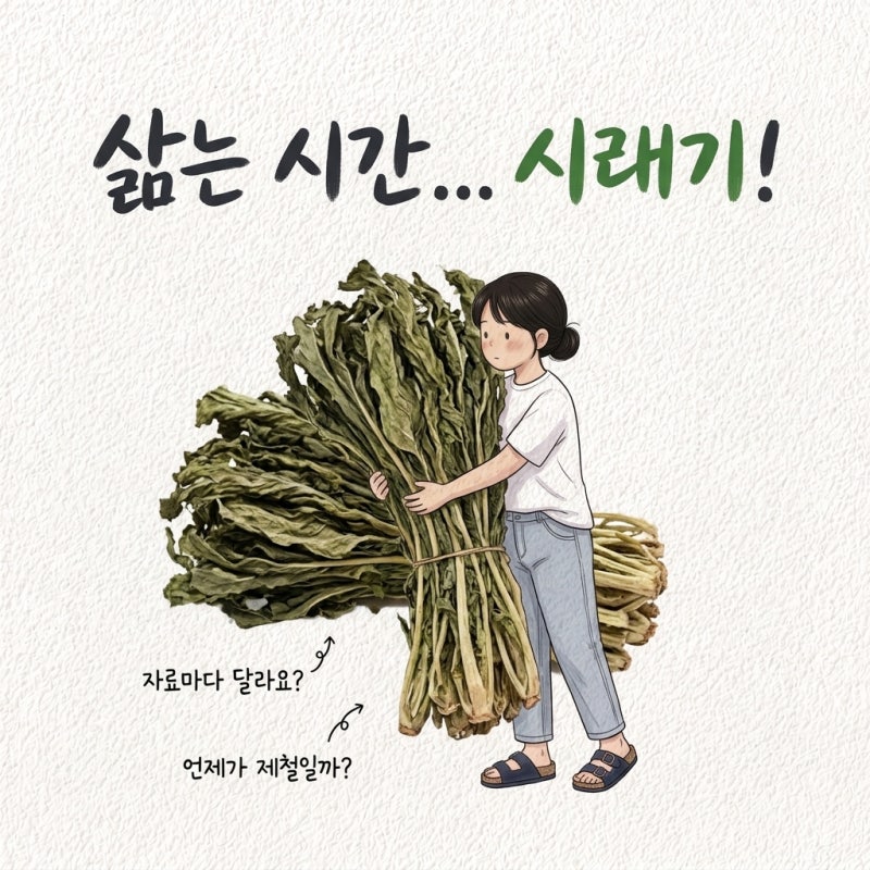 "삶는 시간이 자료마다 다르다고?" 시래기 삶기 삶는 시간 시기 먹는법 우거지 차이