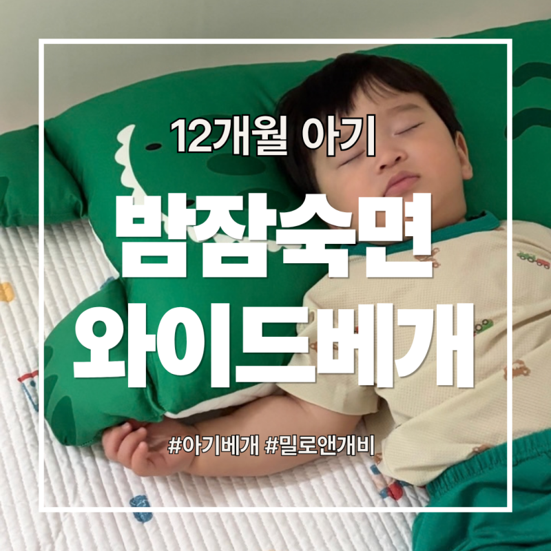 밀로앤개비 와이드 베개, 12개월 아기 밤잠 숙면 완성