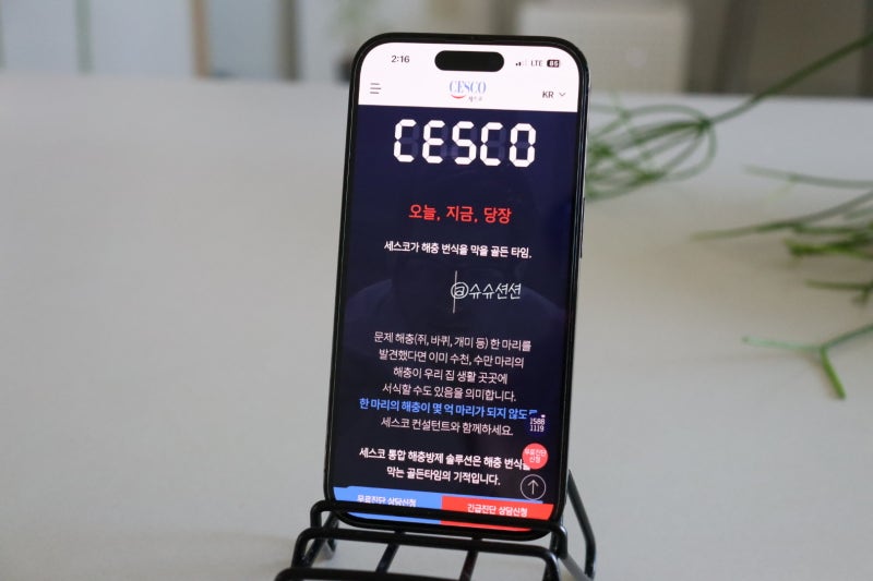 세스코 원룸 비용 얼마일까? 바퀴벌레 방역 무료진단 알아보니