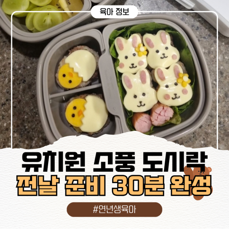 7세 유치원 소풍 도시락｜전날 준비하면 30분 완성, 토끼·병아리 주먹밥 캐릭터 도시락