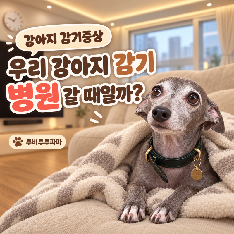 강아지 감기증상, 이럴 땐 병원에 가 보세요