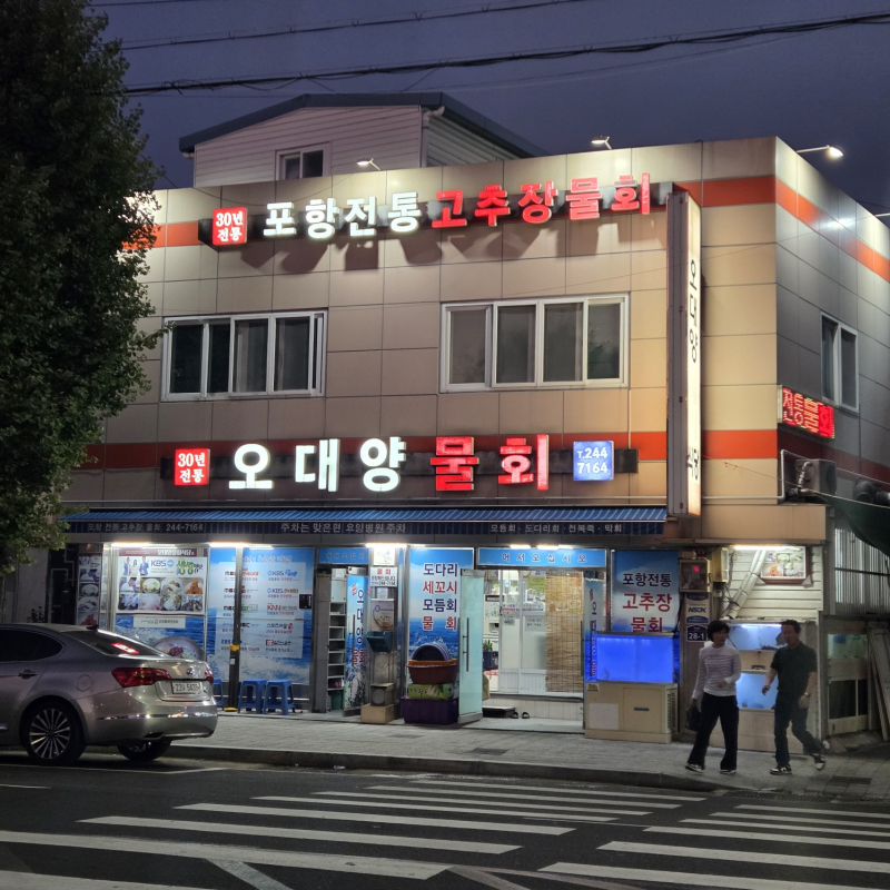 [포항 맛집] 전국3대물회고추장 손맛 제대로 느낀 포항 물회 현지인 추천 '오대양물회' 솔직....
