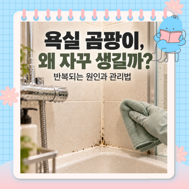 욕실 곰팡이가 왜 자꾸 생길까? 청소 후에도 반복되는 이유와 관리법